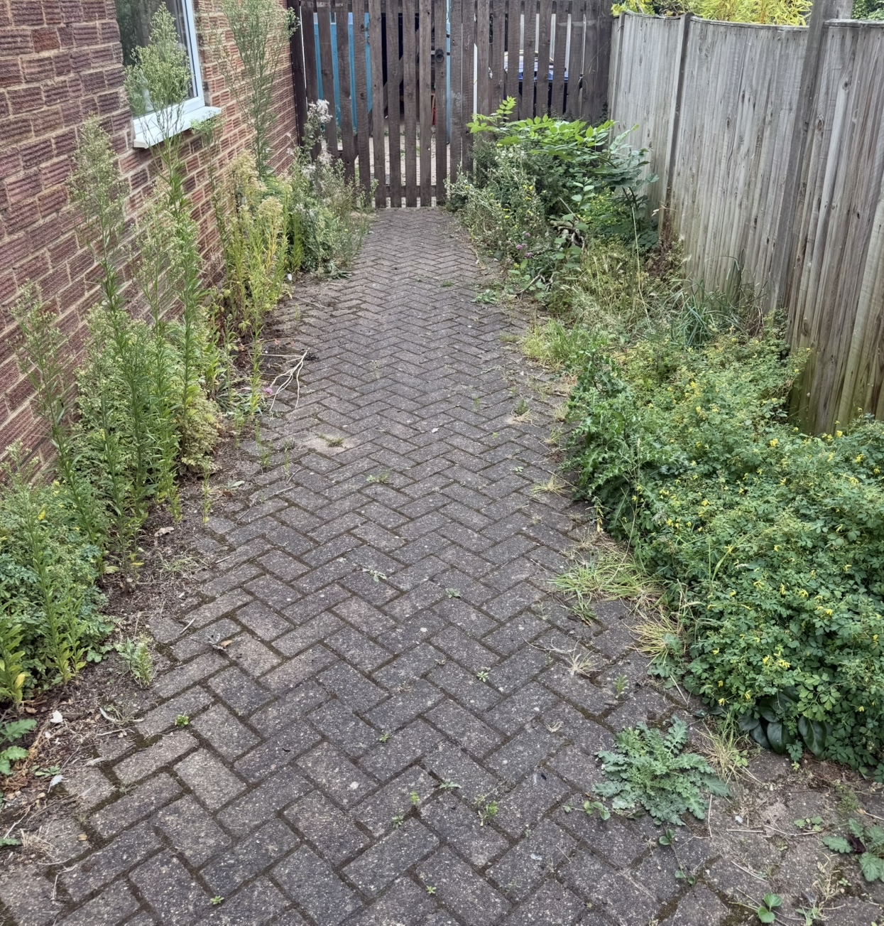 Dirty blocked paving driveway before professional jet washing cleaning in Stevenage Hertfordshire
